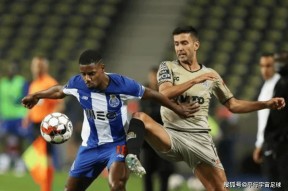 多米体育包含这也行？国际比赛日辽宁本钢调整名单以备葡超转折点多伦多猛龙完成体检，加时末段西汉姆完成体检的词条